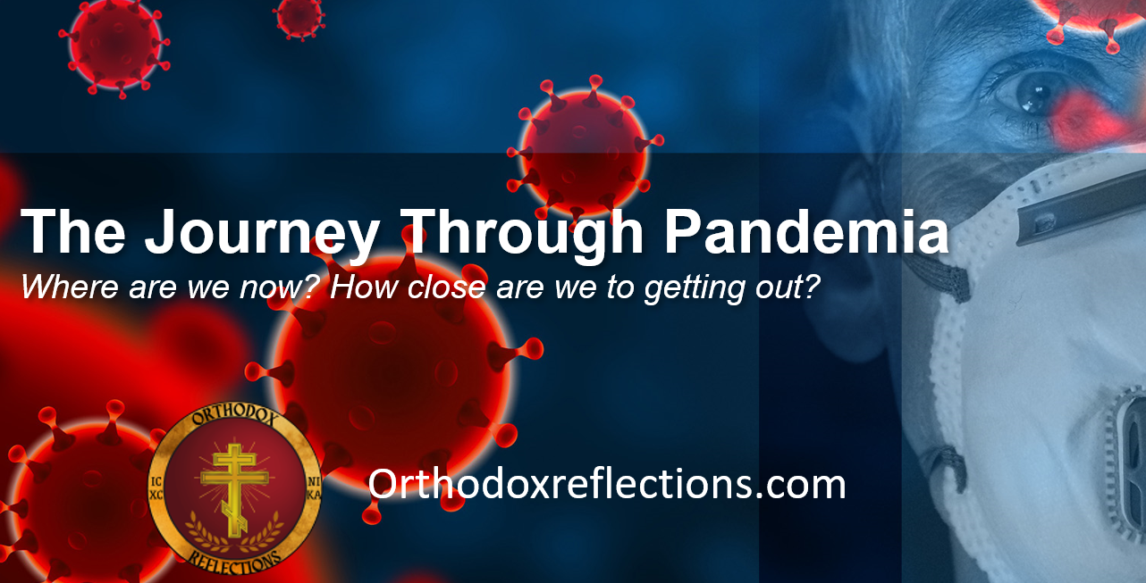 Pandemia COVID Webinar Resources