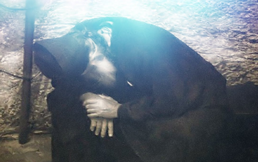 Orthodox Reflections - Looking at Life in the Orthodox Christian Faith